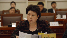 兩會時間 何曄暉代表談發展實體經濟要把老板留住