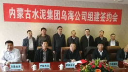 冬去春來，水泥企業“抱團取暖”，是要干啥