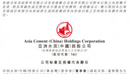 盧偉杰辭任亞洲水泥(中國)公司秘書及授權代表
