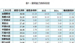 總結：2016年水泥上市企業財務指標排位戰