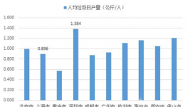 雄安新區水泥窯協同處置應有可為