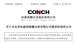 海螺水泥為北蘇海螺銀行貸款提供擔保 擔保金額9000萬美元