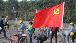 寧波海螺水泥公司黨員突擊隊 “造綠色廠區(qū)，建美麗企業(yè)”
