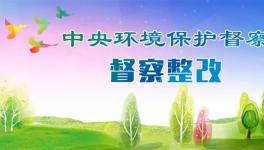 生態環境部公開8省(區)督察整改方案 涉及多家水泥企業