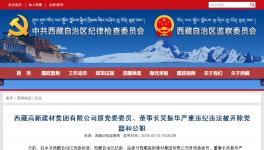 大搞權(quán)錢色交易!私分國(guó)有資產(chǎn)!這家水泥集團(tuán)原董事長(zhǎng)被雙開!