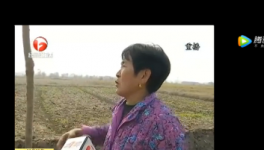 該地區(qū)農(nóng)田整治被揭搞豆腐渣工程，混凝土一捏粉粉碎！