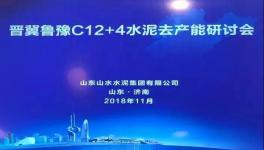 11個水泥集團44家水泥企業領導人參加了這個會議