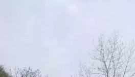 這家水泥廠破壞青山、污染環(huán)境何時休？