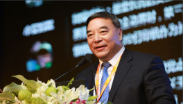 宋志平：國企改革目標“國進民進”