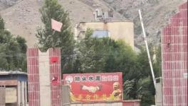 村民舉報(bào)：已關(guān)停許久的水泥廠又開始生產(chǎn)，粉塵污染嚴(yán)重