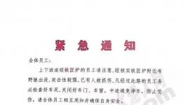 狼來了！這家水泥廠已有員工被抓傷！