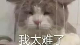 國慶節的催款心聲，讓數萬水泥人不再沉默！