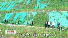 點贊！這一地區礦山生態環境恢復治理近200公頃！