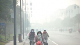 水泥停產！工地放假！物流停運！“春運”提前來了！