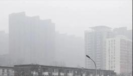 停工停產一個月！霧霾還是爆表！3000多家水泥企業“冤不冤”?
