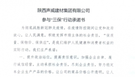 陜西聲威建材集團有限公司參與“三保”行動承諾書