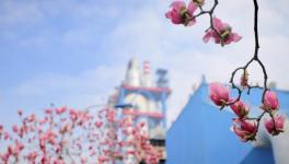 春色滿廠區(qū)，花園水泥廠來了！！