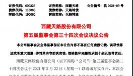 西藏天路股份有限公司高管人員任職大變動(dòng)！