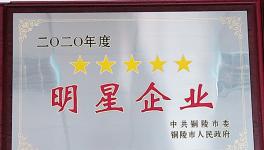 樅陽海螺獲得銅陵市多項(xiàng)榮譽(yù)稱號