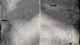 春江豐華水泥質量不合格！多地監管部門全面督查！
