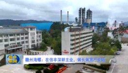海螺子公司3條熟料生產線實現營收118億！