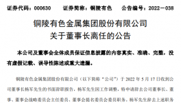 中國銅工業(yè)板塊第一股董事長辭職，下一站海螺集團！