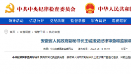 突發(fā)！海螺原董事長被查！