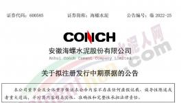 海螺水泥擬發(fā)行不超100億票據(jù)！