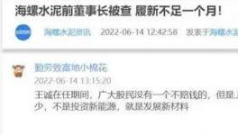 海螺蒸發(fā)1300億，逾700億元投資或存變數(shù)！
