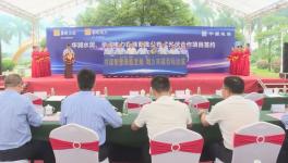 ?總投資額4775萬元！華潤水泥光伏項(xiàng)目開工?！