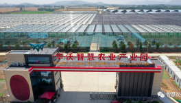 巧用水泥余熱，工業轉型反哺農業！