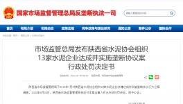 陜西水泥協會及13家水泥企業被罰4.51億！