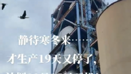 全停！最長200天！20個省水泥廠停產！