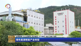 海螺水泥兩家工廠同一天都上電視啦！